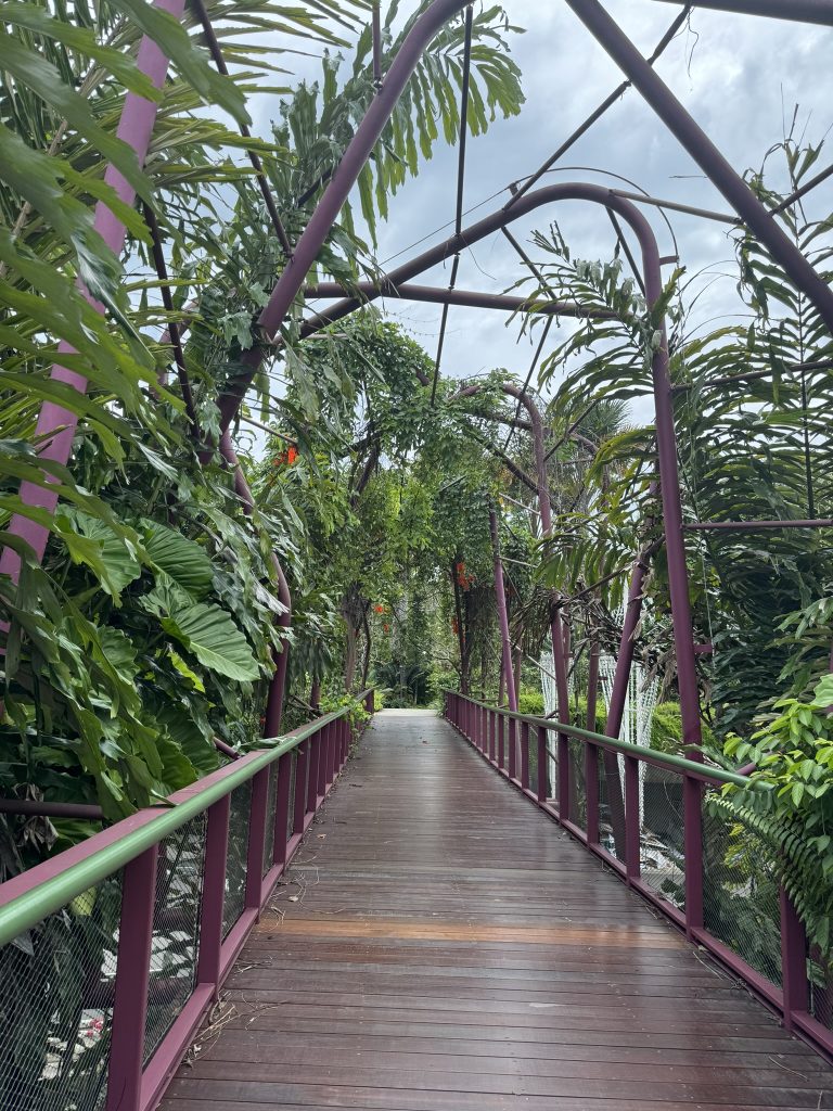 Gardens by the bay, Singapore