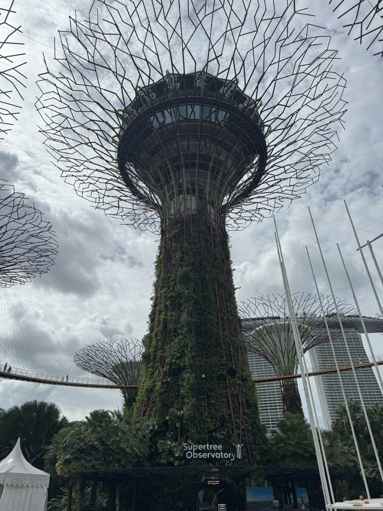 Supertree Observatory, Gardens by the bay, Singapore