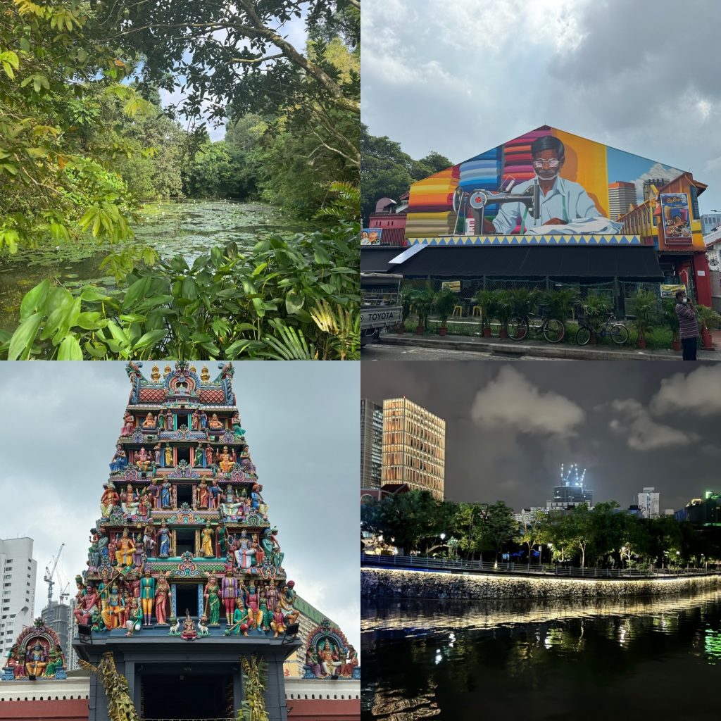 Singapores Botanic Gardens, Little India, Chinatown and Clarke Quay